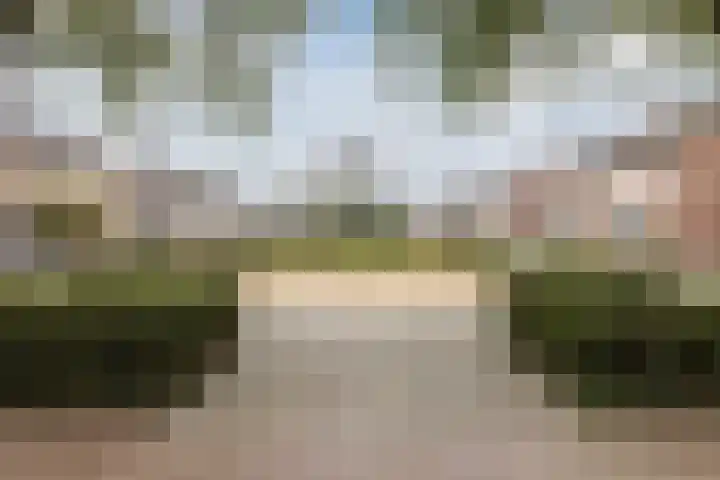 Duiker 11 Oss thumbnail 34