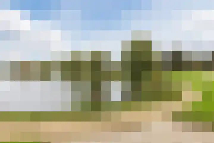 Duiker 11 Oss thumbnail 37