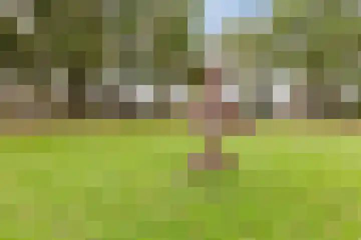 Duiker 11 Oss thumbnail 38