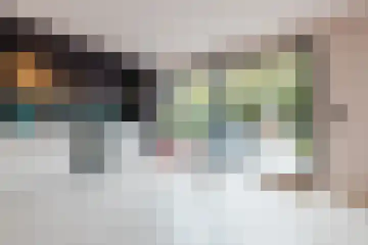Duiker 11 Oss thumbnail 4