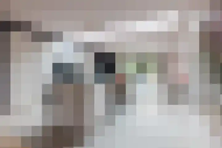 Duiker 11 Oss thumbnail 6