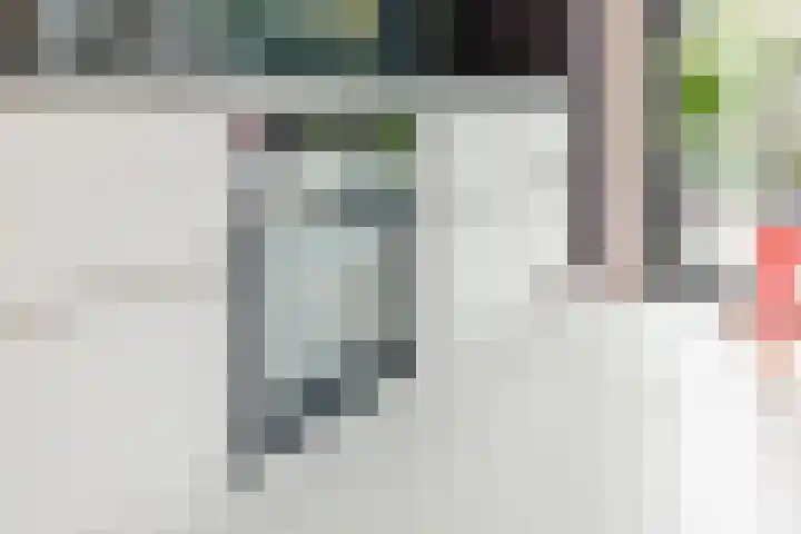 Duiker 11 Oss thumbnail 8