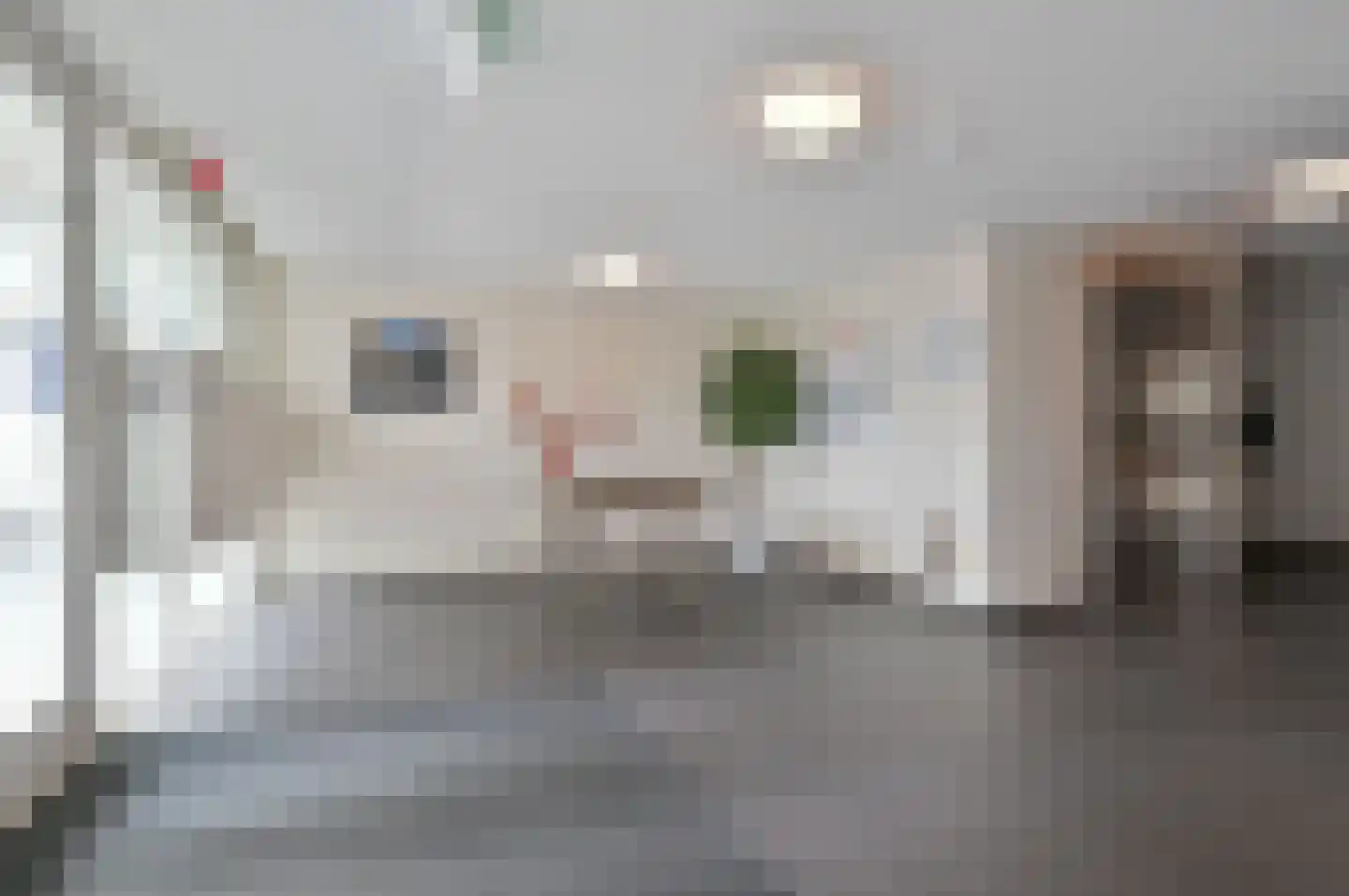 Duiker 141 Huizen thumbnail 13