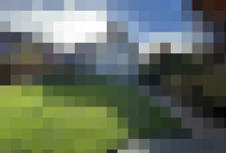 Duiker 16 Sneek thumbnail 10