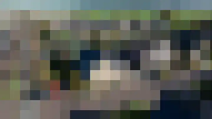 Duiker 16 Sneek thumbnail 12