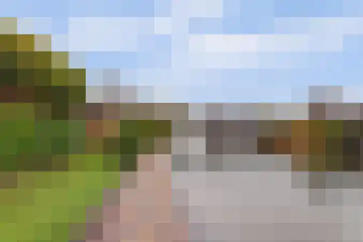 Duiker 16 Sneek thumbnail 16