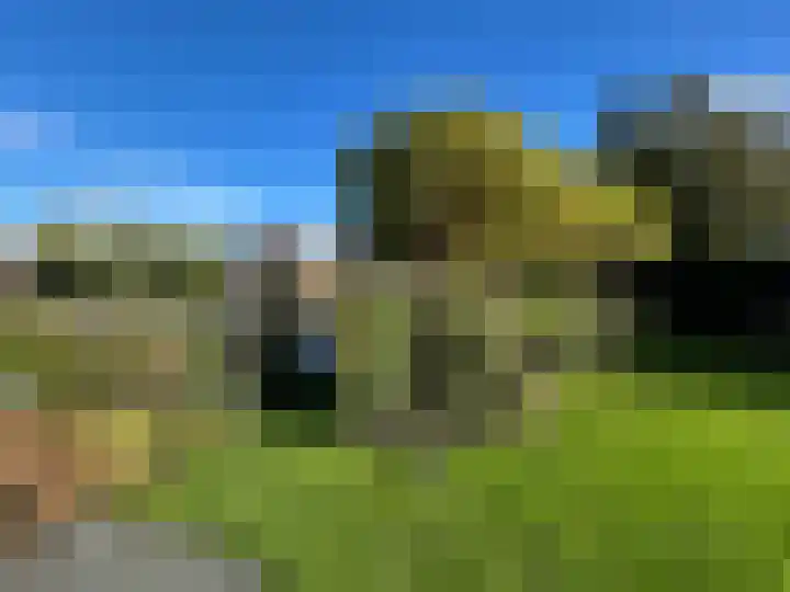 Duiker 16 Sneek thumbnail 17