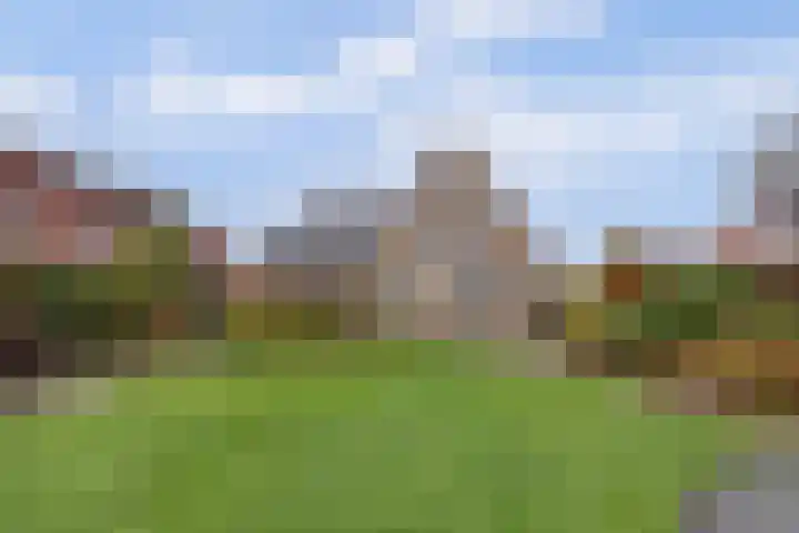 Duiker 16 Sneek thumbnail 20