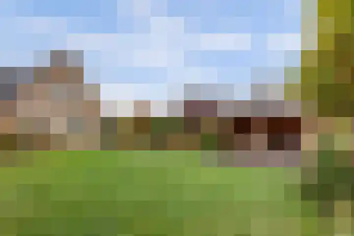 Duiker 16 Sneek thumbnail 24