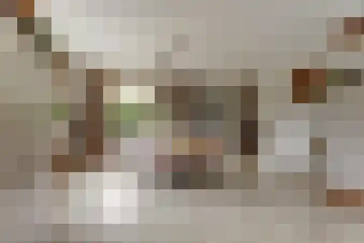 Duiker 16 Sneek thumbnail 38