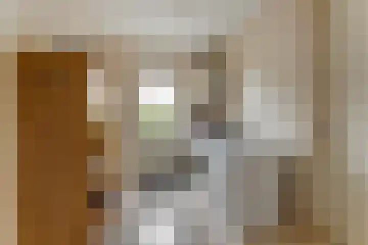 Duiker 16 Sneek thumbnail 40