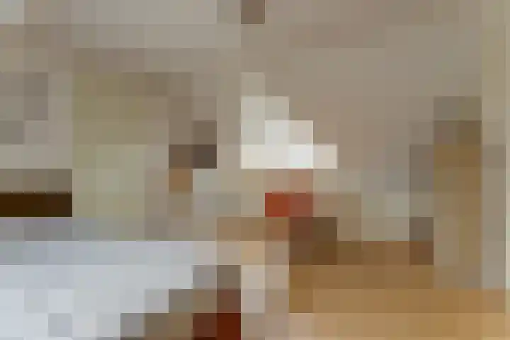Duiker 16 Sneek thumbnail 45