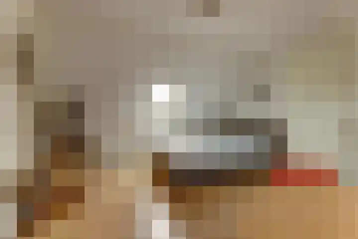 Duiker 16 Sneek thumbnail 47