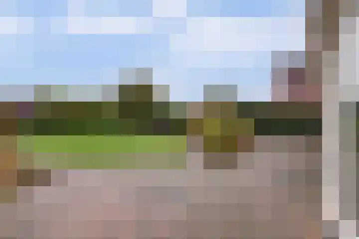 Duiker 16 Sneek thumbnail 58