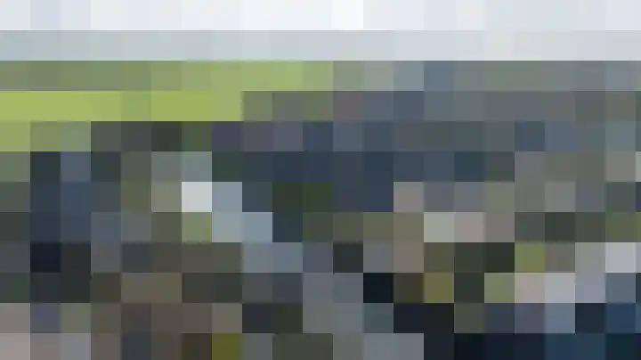 Duiker 16 Sneek thumbnail 61