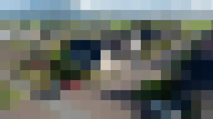 Duiker 16 Sneek thumbnail 7