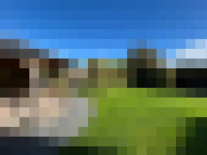 Duiker 16 Sneek thumbnail 9