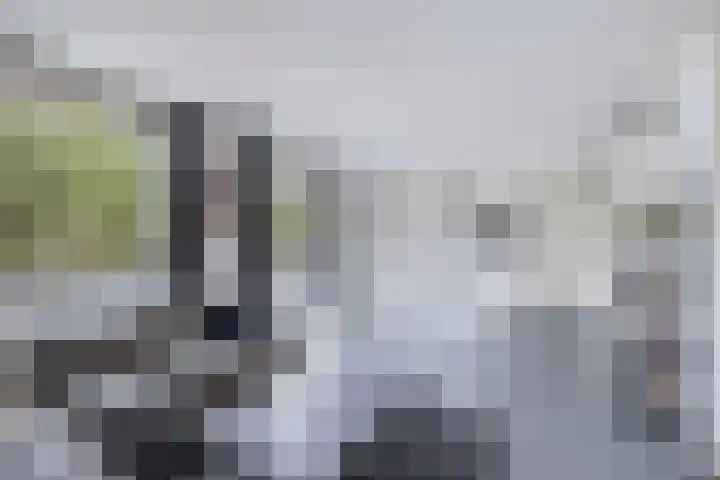 Duiker 17 Huizen thumbnail 10