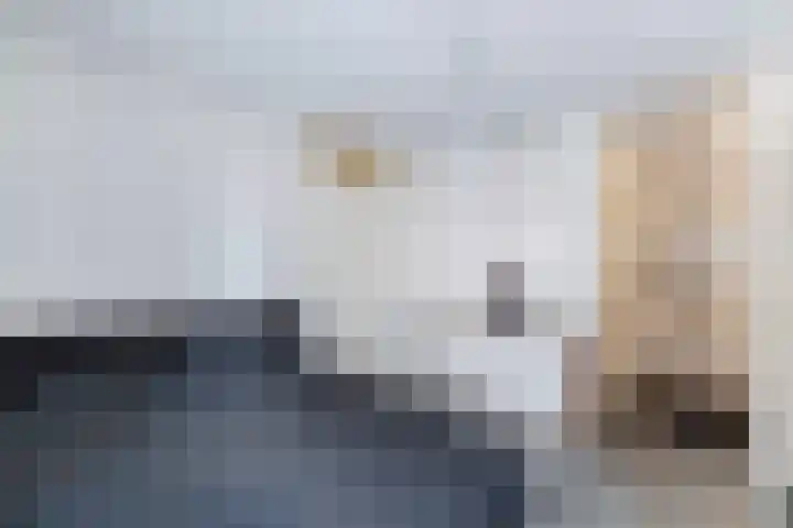 Duiker 17 Huizen thumbnail 17