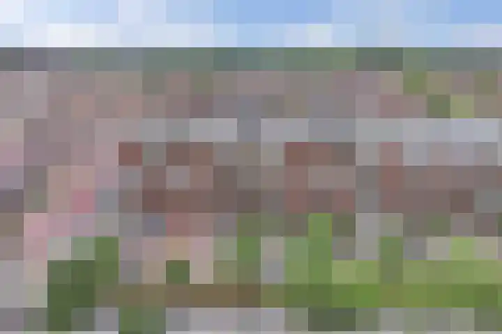 Duiker 17 Huizen thumbnail 24