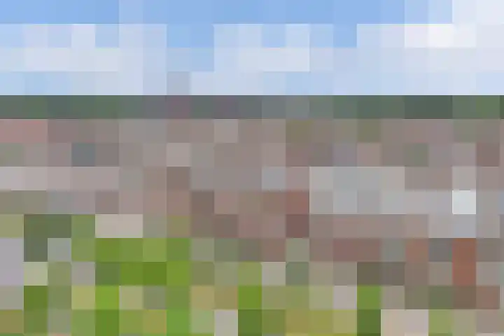 Duiker 17 Huizen thumbnail 25