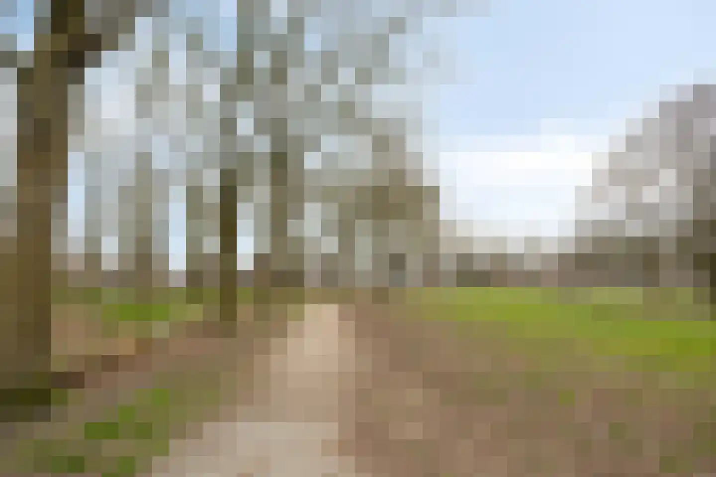 Duiker 30 Oss thumbnail 46