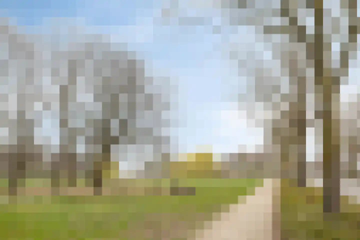 Duiker 30 Oss thumbnail 47
