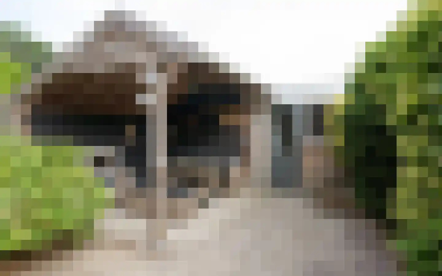 Duiker 40 Grootebroek thumbnail 36