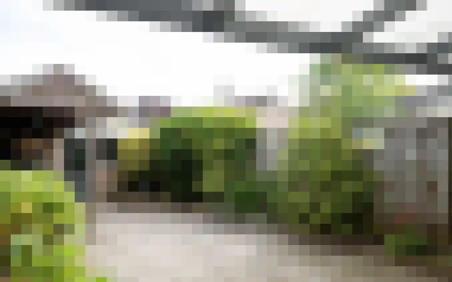 Duiker 40 Grootebroek thumbnail 38
