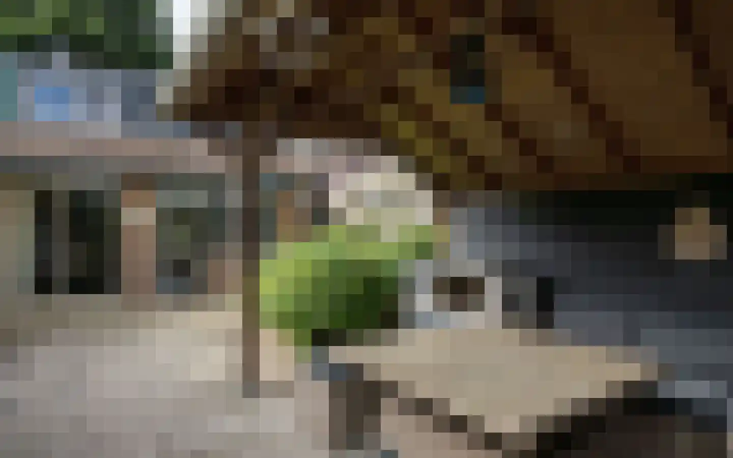 Duiker 40 Grootebroek thumbnail 40