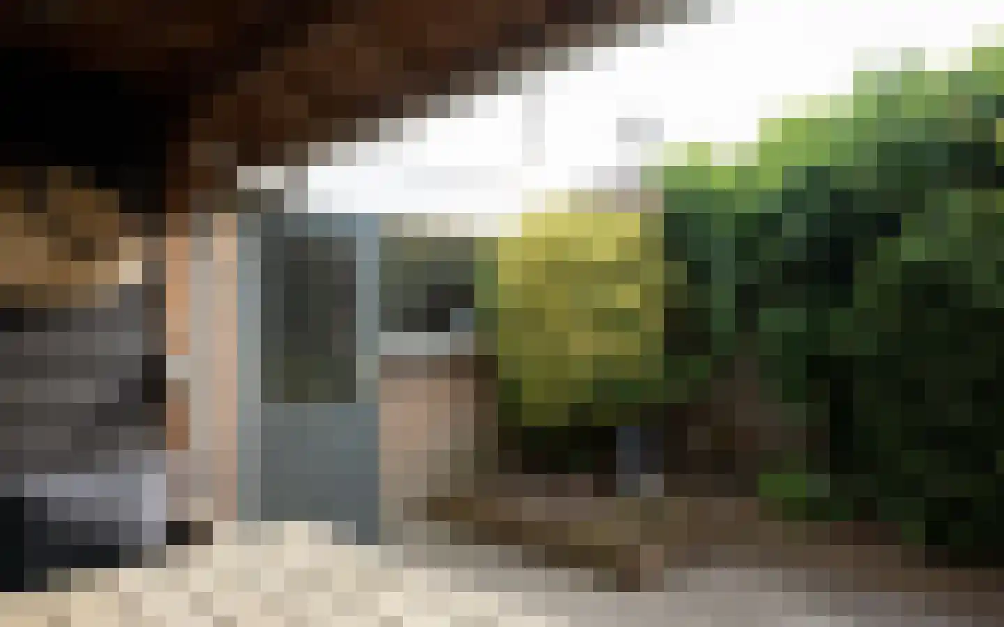 Duiker 40 Grootebroek thumbnail 44