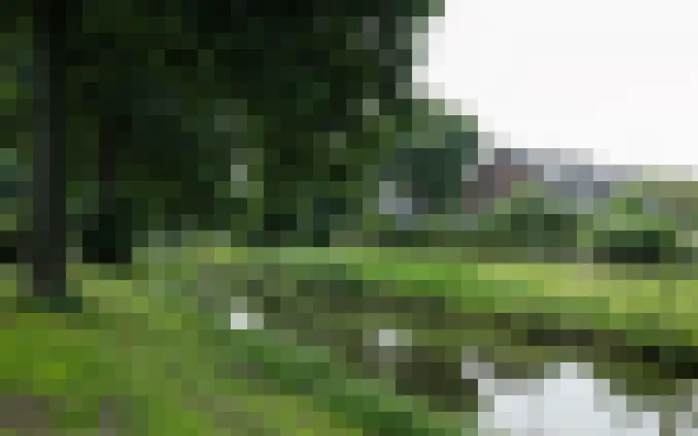 Duiker 40 Grootebroek thumbnail 47