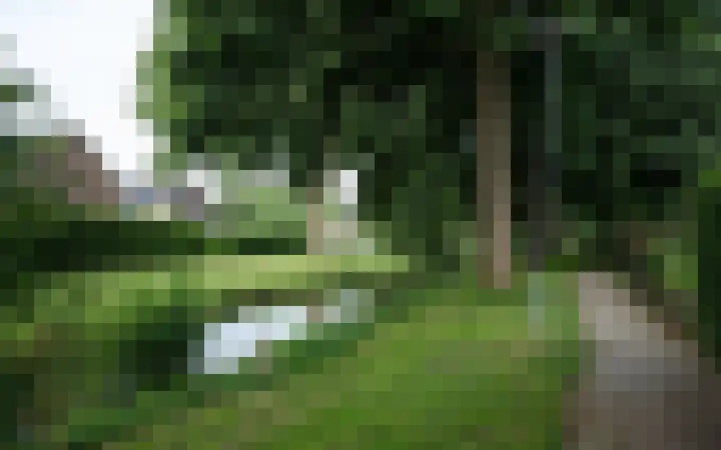 Duiker 40 Grootebroek thumbnail 48