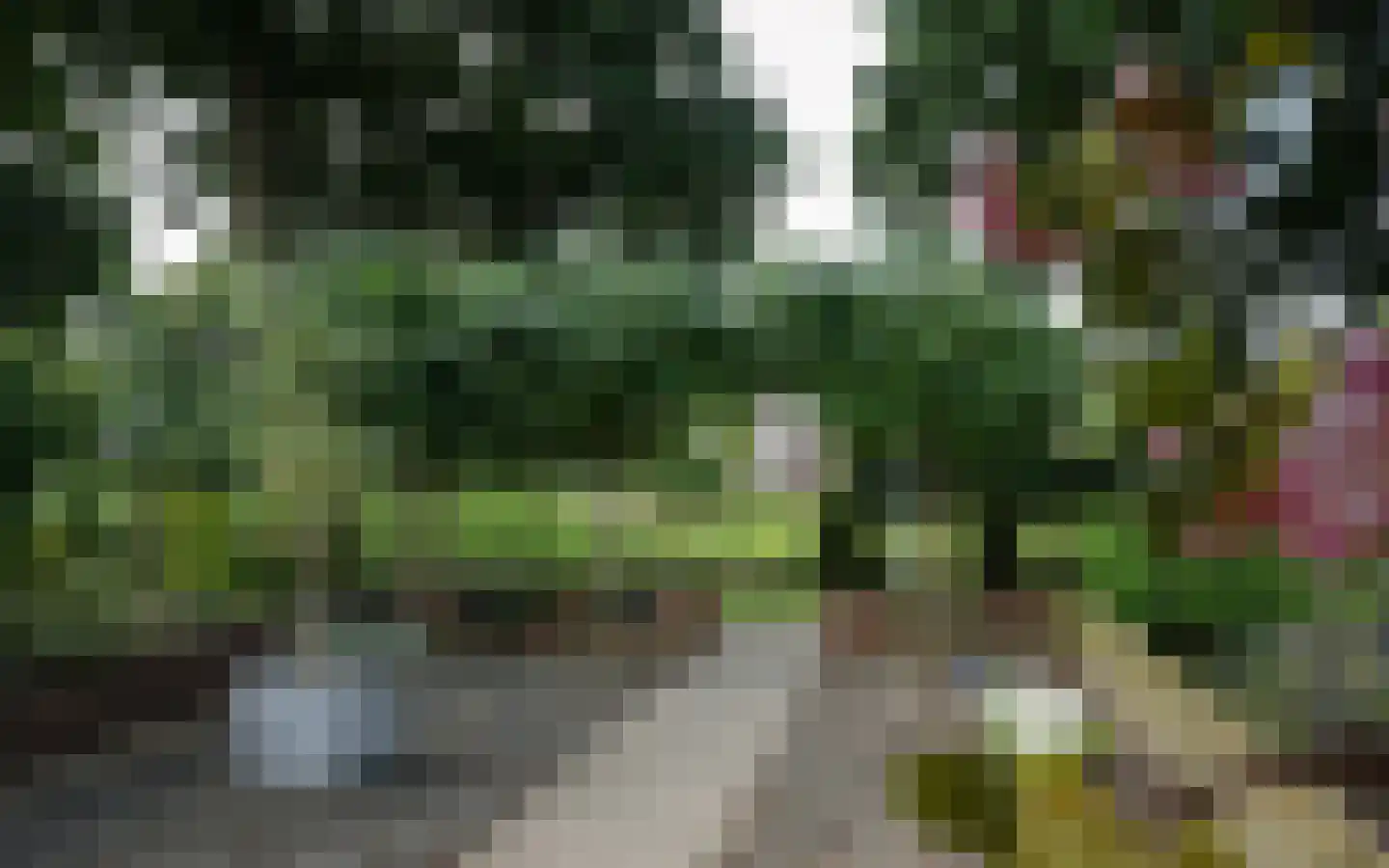 Duiker 40 Grootebroek thumbnail 49