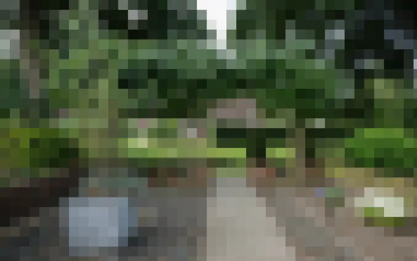 Duiker 40 Grootebroek thumbnail 50
