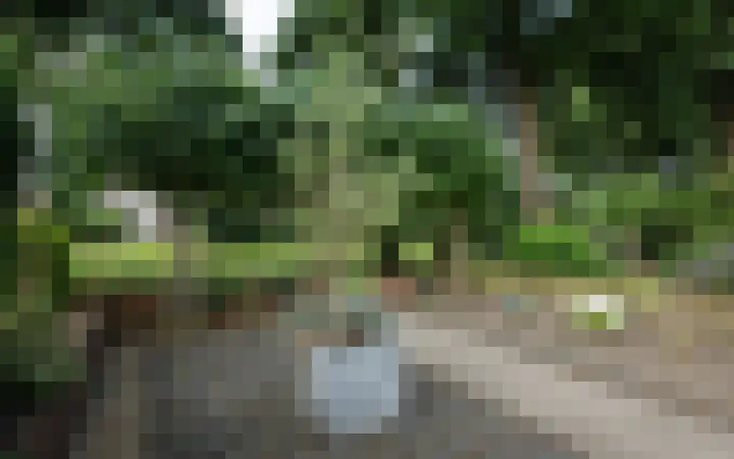 Duiker 40 Grootebroek thumbnail 52