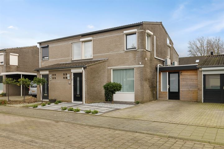 Duiker 41 en Oss foto