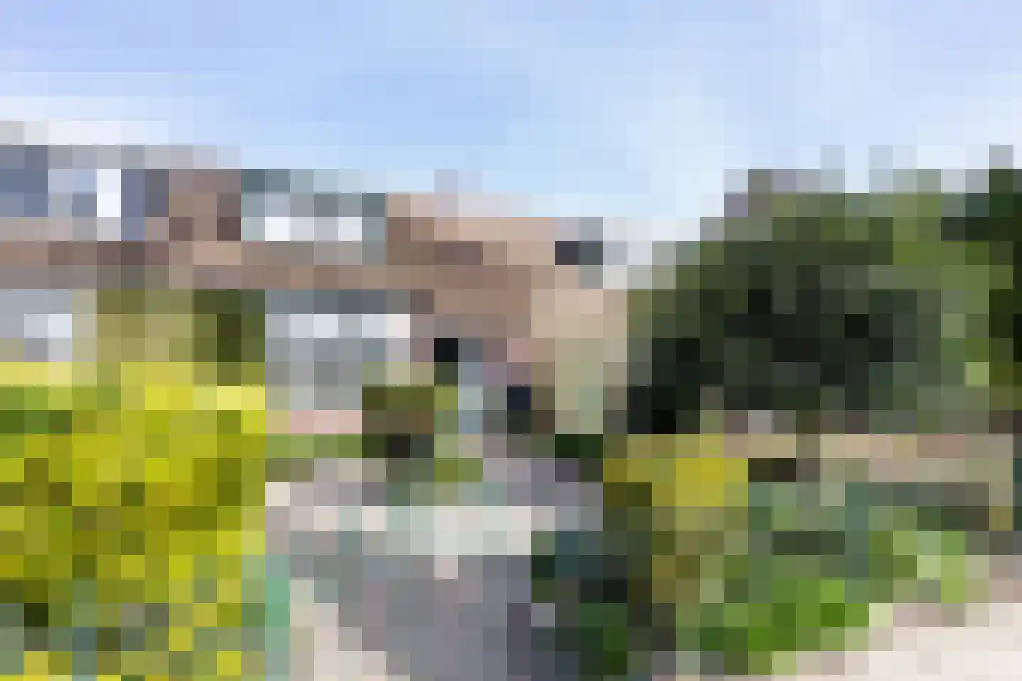 Duiker 42 Grootebroek thumbnail 5