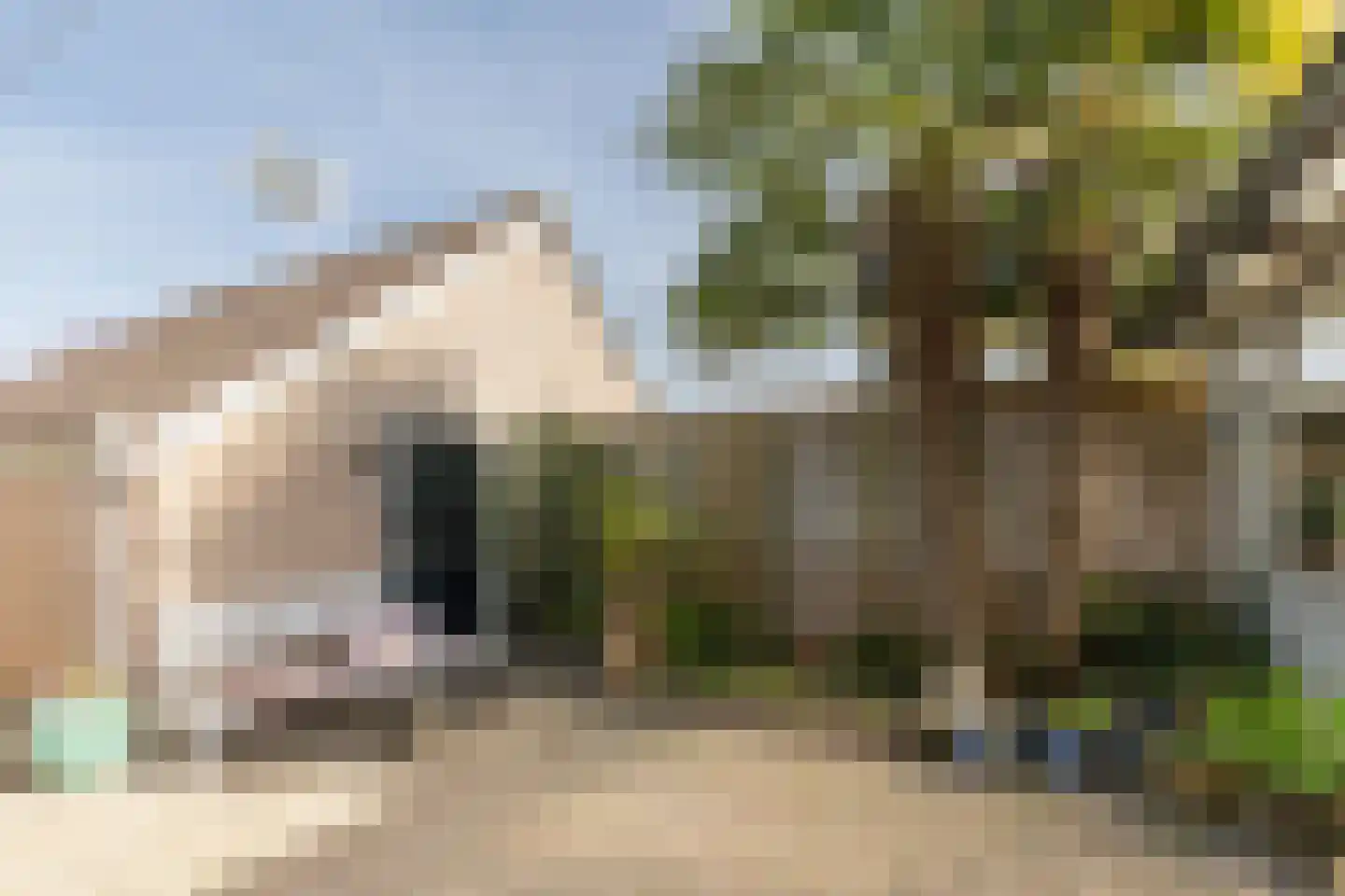 Duiker 42 Grootebroek thumbnail 53