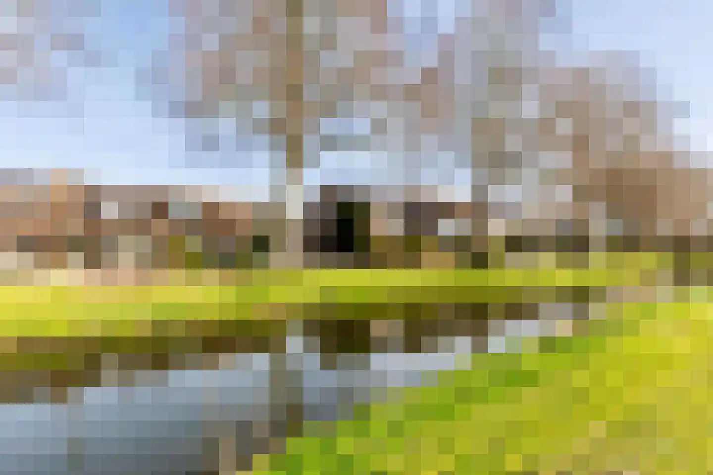 Duiker 42 Grootebroek thumbnail 62