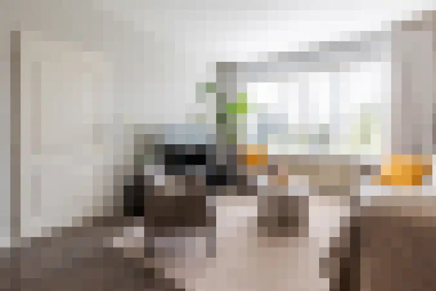 Duiker 42 Grootebroek thumbnail 8