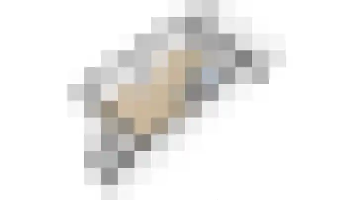 Duiker 50 Grootebroek thumbnail 88