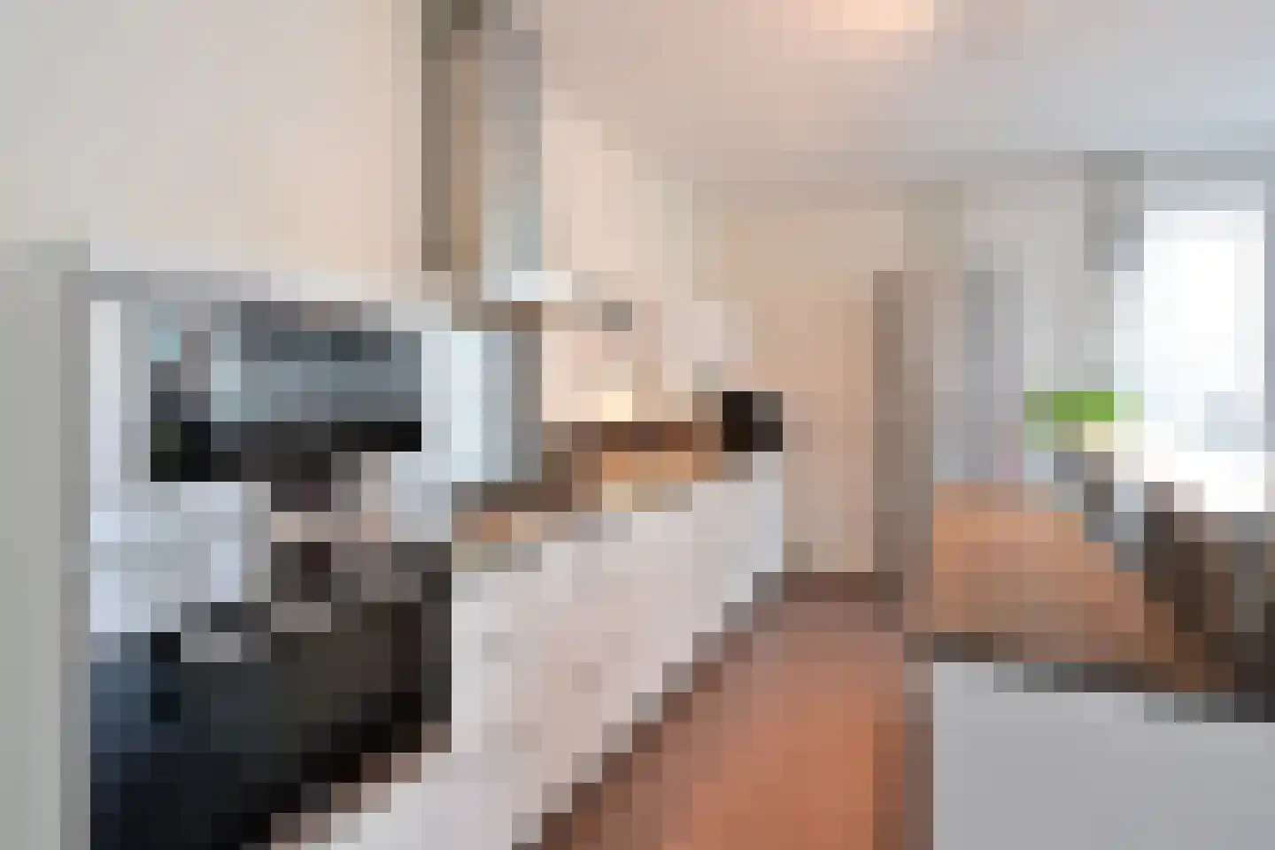 Duiker 59 Huizen thumbnail 6