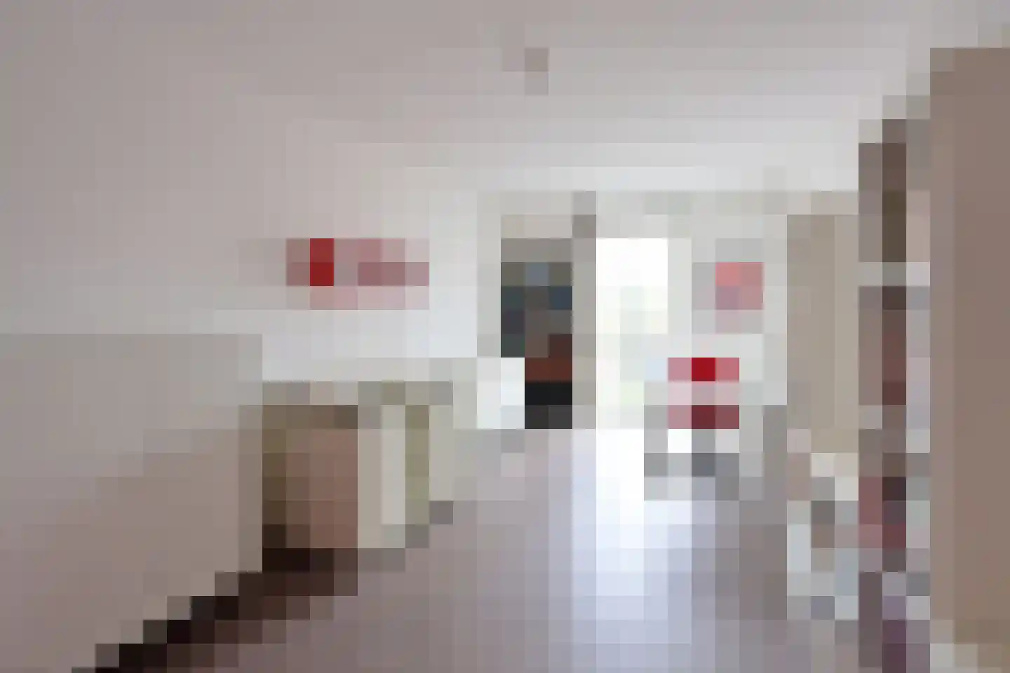 Duiker 59 Huizen thumbnail 9