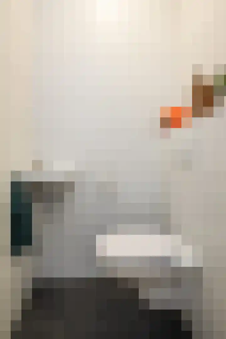 Duiker 77 Huizen thumbnail 13