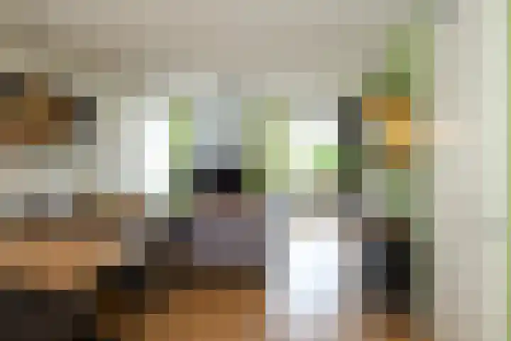 Duiker 77 Huizen thumbnail 15