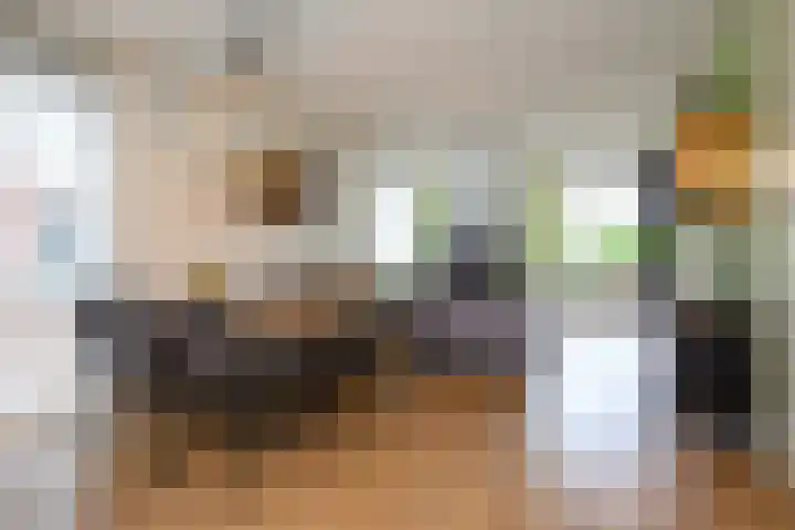 Duiker 77 Huizen thumbnail 16