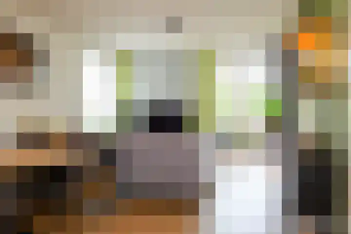 Duiker 77 Huizen thumbnail 17