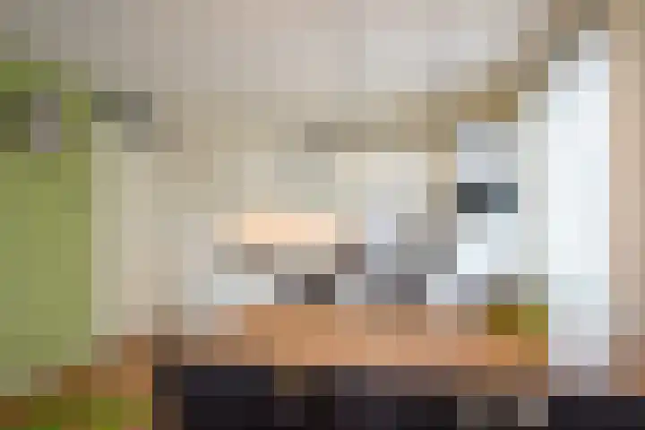 Duiker 77 Huizen thumbnail 19