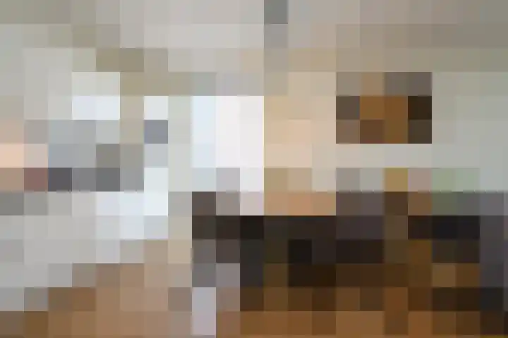 Duiker 77 Huizen thumbnail 20